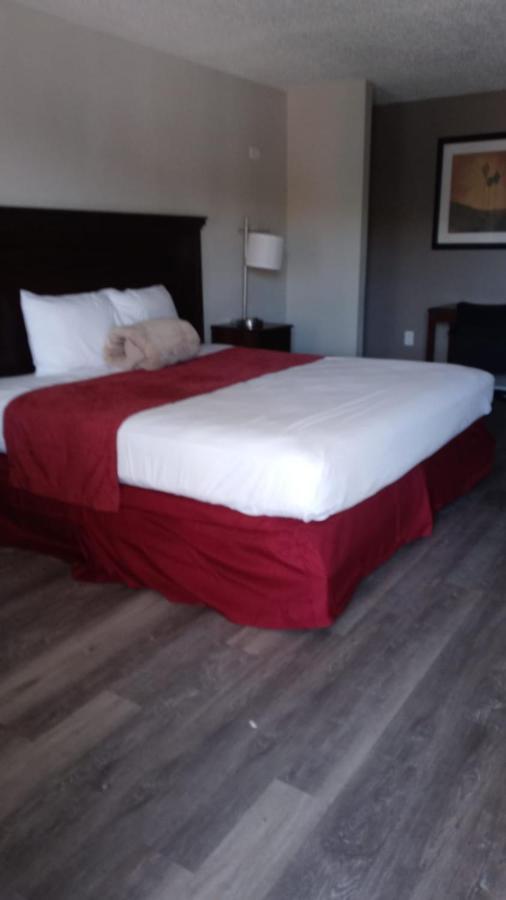 La Casa Inn New Port Richey Gulf Beach Us-19 מראה חיצוני תמונה